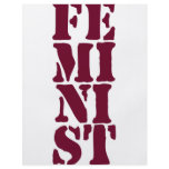 Feminist! flyers