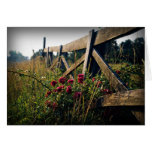 Fence and Roses Card