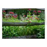 Fence Flowers, S Cyr Card