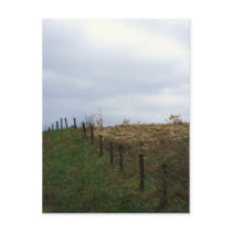 Fence Line Postcard
