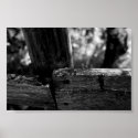 Fence posters