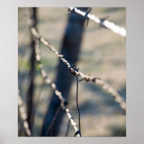 Fence Posters