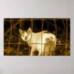 Fenced Out Print