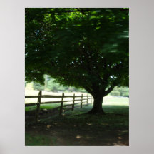 Fenceline to Freedom Poster