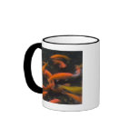 Feng Shui believe koi fish bring good luck. Mug