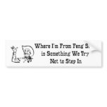 Feng Shui Bumper Sticker bumper stickers