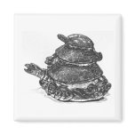 Feng Shui Triple Turtle - B&W magnets