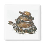 Feng Shui Triple Turtle - Gold magnets
