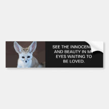 Fennec Fox Bumper Stickers