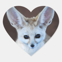Fennec Fox Stickers