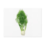 Fennel leaf and bulb post card