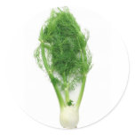 Fennel leaf and bulb stickers