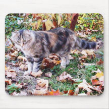 Feral Cat in Autumn Mousepad
