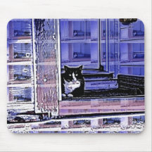 Feral Cat of Beausejour Manitoba Canada Mouse Pads