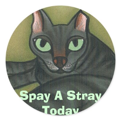 Feral cat, Spay A Stray Today - Customised Stickers by FeralCat