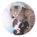 Feral mum stickers