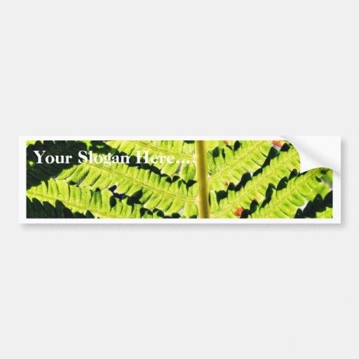 Fern Bumper Sticker