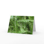 Fern Fronds Card