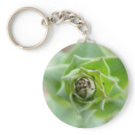 Fern Keychain