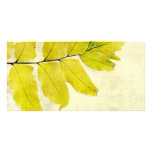Fern leaves grunge design photo cards