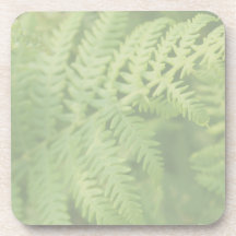 Fern Leaves, Light Green. Beverage Coasters