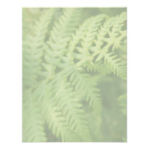 Fern Leaves, Light Green. Custom Announcement