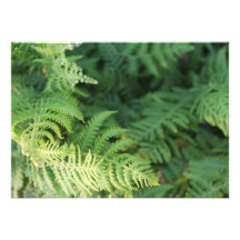Fern Leaves. Personalized Invites
