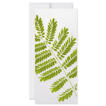 Fern leaves rack cards