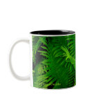 Fern Mug