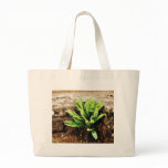 Fern Plant Growing From The Stone Wall Tote Bags