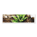 Fern Plant Growing From The Stone Wall Bumper Stickers