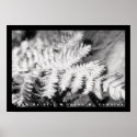 Fern posters