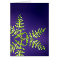 Fern Purple Greeting Cards
