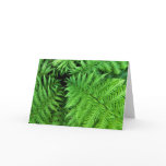 Ferns Greeting Card