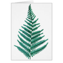 Ferns Greeting Card