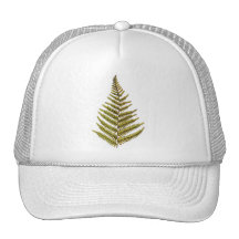 Ferns Hats