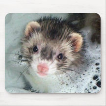 ferret bubble bath mouse mats