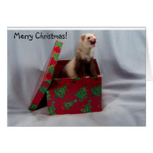 Ferret Christmas Card