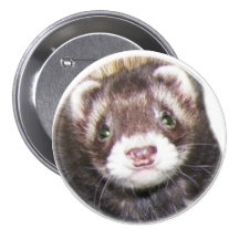 Ferret Face Picture Pins