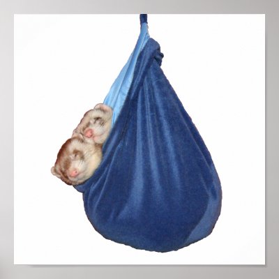 ferret sleeping bag