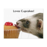 Ferrets Love Cupcakes Postcard