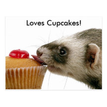Ferrets Love Cupcakes Postcard