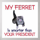 FerretSmarter posters
