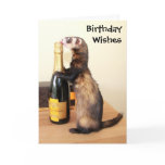 Ferrety Birthday Wishes cards