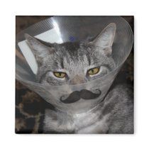 ferris mewler Magnet