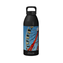 Ferris Wheel Closeup Water Bottle