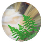 Ferrous thermal water dinner plates