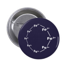 Ferrous Wheel Pinback Button
