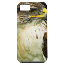 Ferruginous Hawk iPhone 5 Case