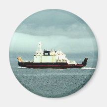 Ferry-Go-Round Magnet